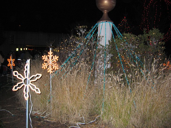 wildlights at zoo 003.jpg